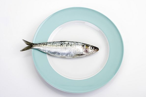 starenje, nutritivni status, pravilna prehrana, jelovnici